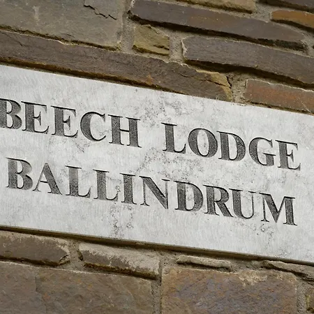 Holiday home Beech Lodge, Ballindrum R14rx60 Athy
