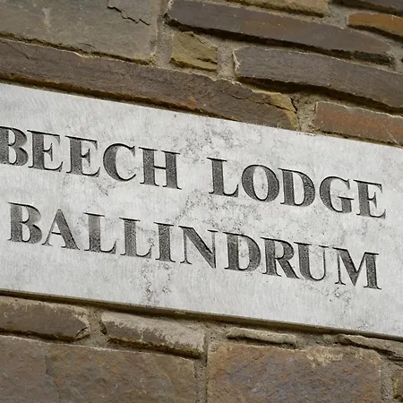 Vakantiehuis Beech Lodge, Ballindrum R14rx60 Athy